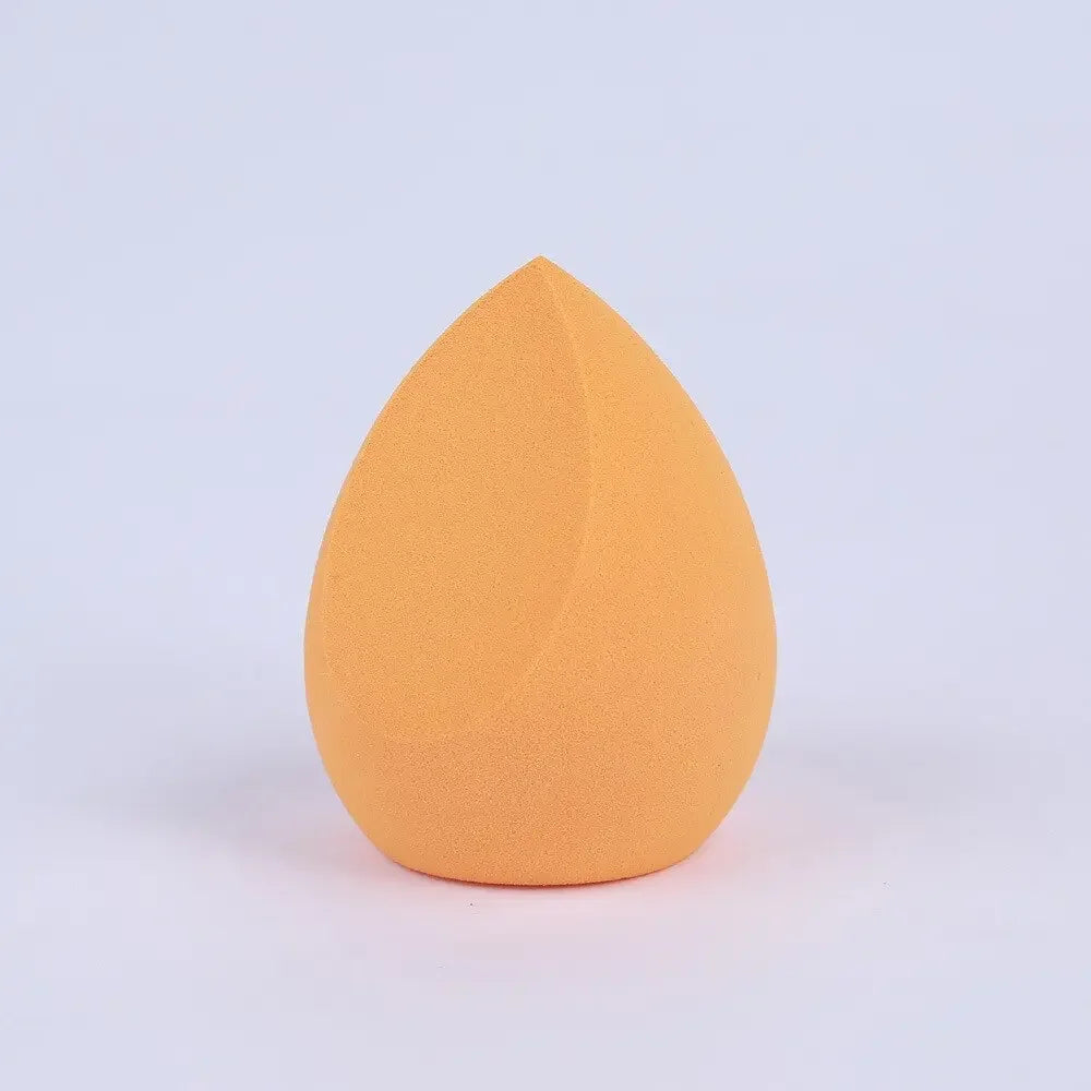 Foundation Sponge