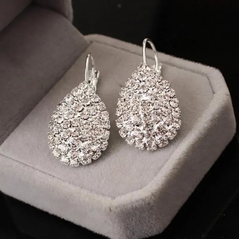 Luxury Drop Pendant Earrings